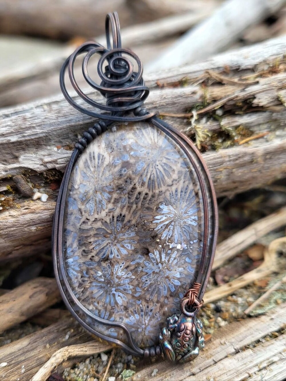 Chrysanthemum Coral Fossil  Pendant